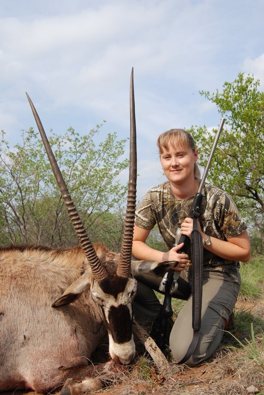 Gemsbuck, South Africa 