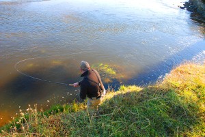 Fisk i Agentina 4